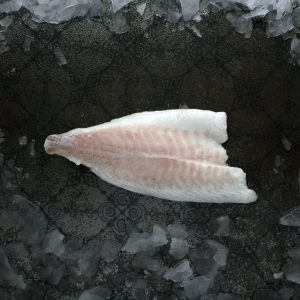 IQF Frozen Skin off PBO fillets of Sea Bass