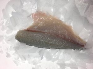 fresh-fillet-sea-bream-4