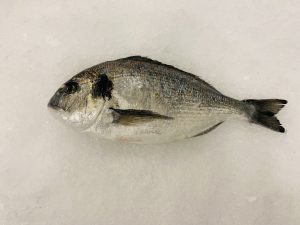 fresh-whole-sea-bream-01