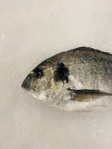 fresh-whole-sea-bream-02