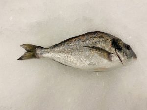 fresh-whole-sea-bream-04