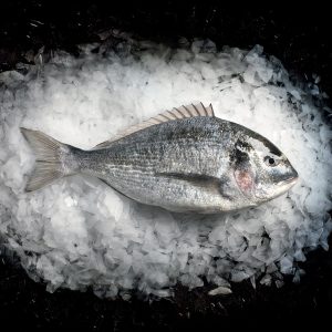 fresh-whole-sea-bream